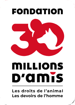 hthttps://30millionsdamis.fr/tps://www.30millionsdamis.fr/ hthttps://30millionsdamis.fr/tps://www.30millionsdamis.fr/