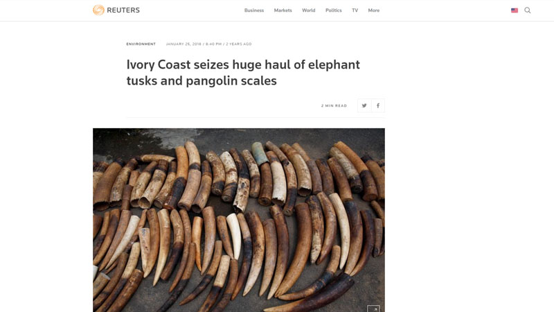 Ivory Coast Arrests Six in Ring That Smuggled Parts of Elephants, Leopards and Pangolins