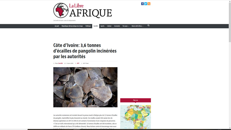 Côte d’Ivoire : Une saisie de plus de 3,5 tonnes d’écailles de pangolin incinérée par les autorités