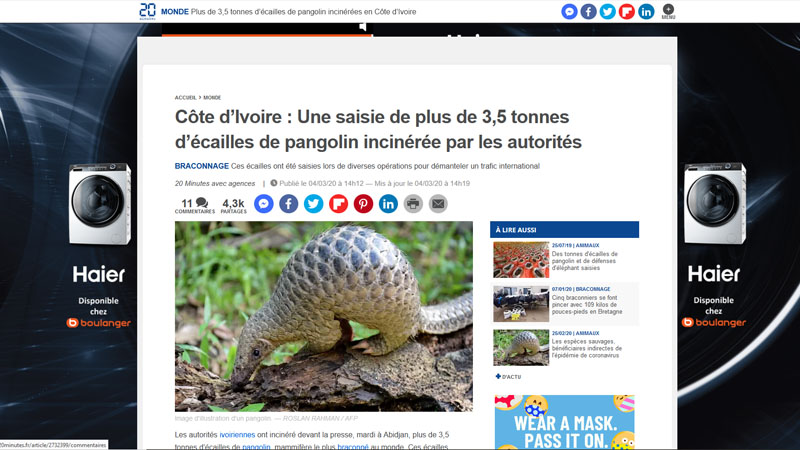 Côte d’Ivoire : Une saisie de plus de 3,5 tonnes d’écailles de pangolin incinérée par les autorités