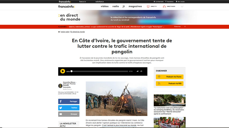 Côte d’Ivoire : Une saisie de plus de 3,5 tonnes d’écailles de pangolin incinérée par les autorités