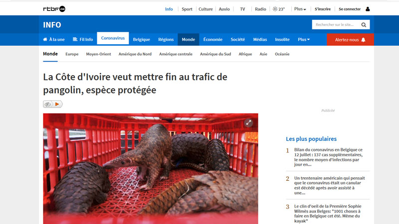 Côte d’Ivoire : Une saisie de plus de 3,5 tonnes d’écailles de pangolin incinérée par les autorités