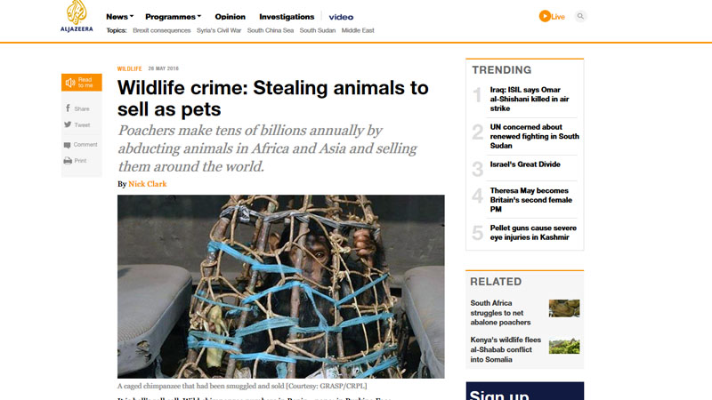 Wildlife crime: Stealing animals to sell as pets