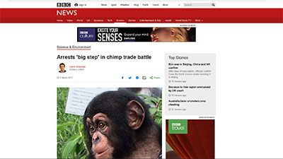 Arrests 'big step' in chimp trade battle
