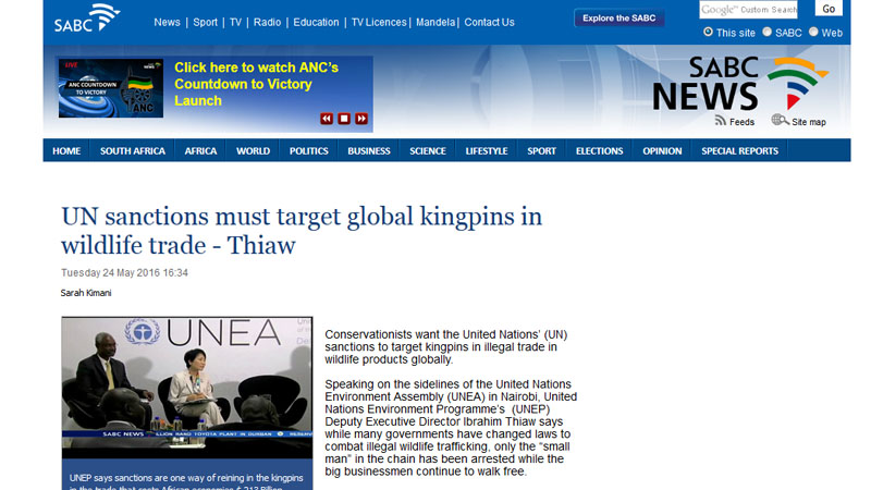 UN sanctions must target global kingpins in wildlife trade
