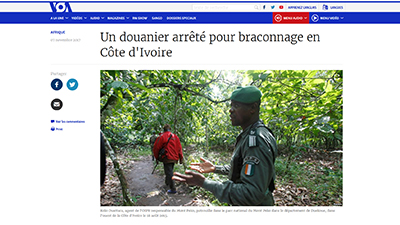  Un douanier arręté pour braconnage en Côte d’Ivoire 